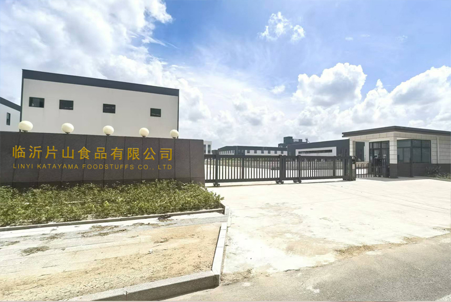 Company introduction